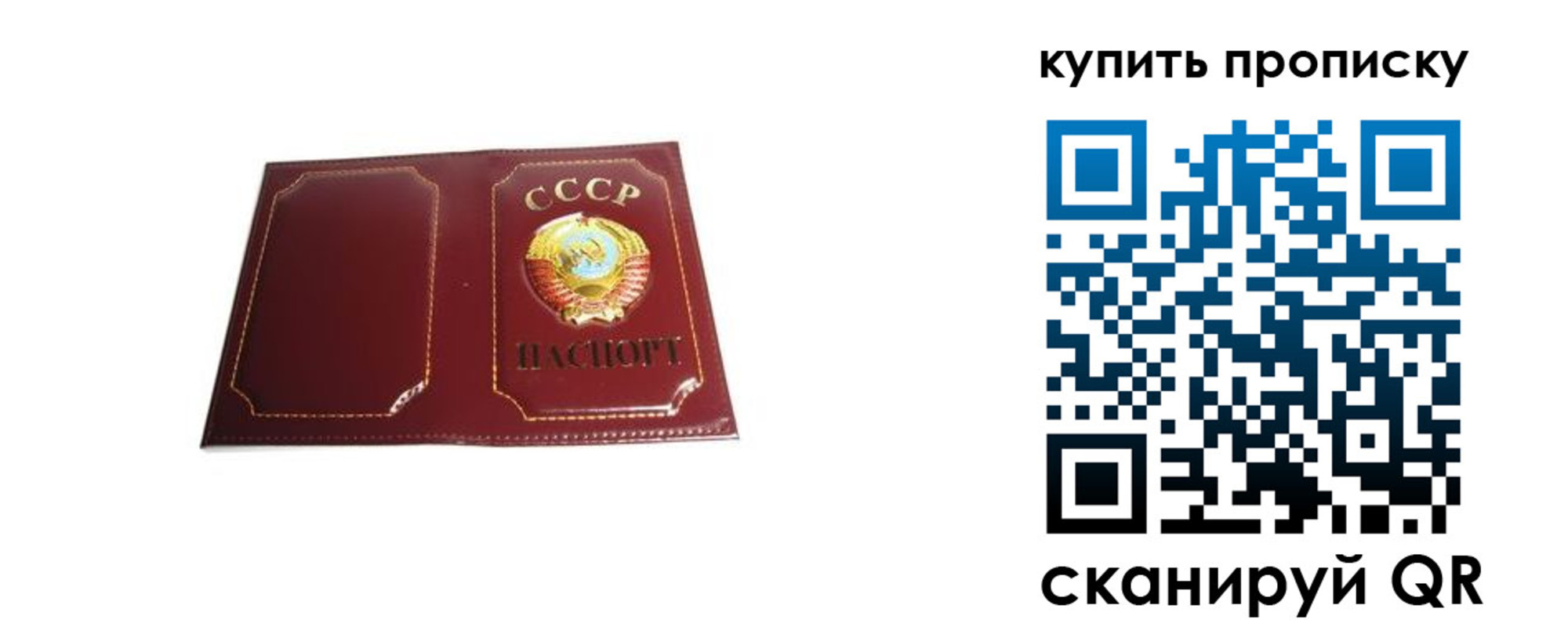 прописка законно в Фрязино